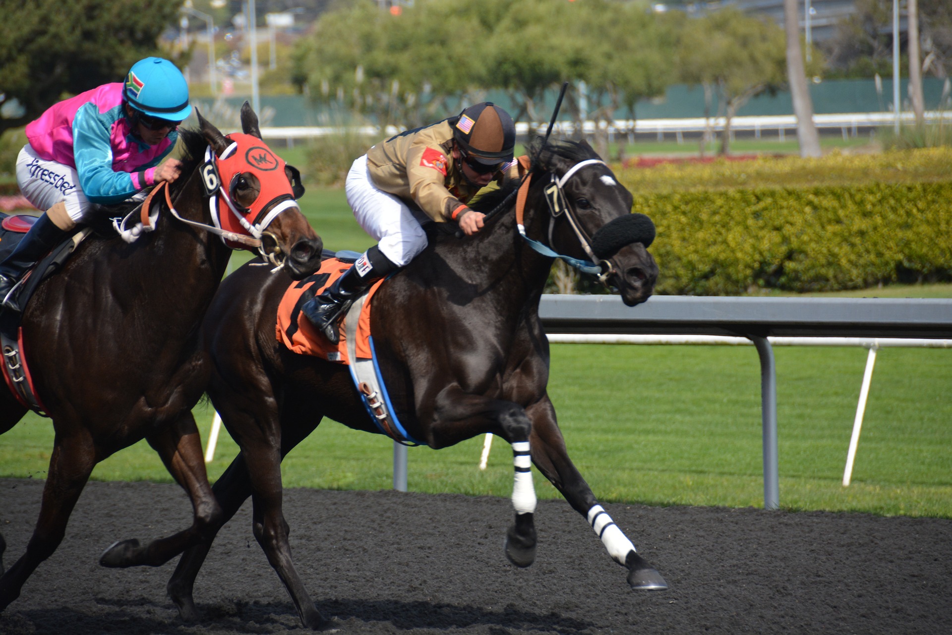 Reasons Most Gamblers Prefer Betting on Horse Racing